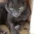 Paula J Deglas's profile image