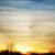Toniann Darson's profile image