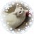 Jennifer Elizabeth Rose's profile image