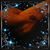 Stephanie DiModica Iraola's profile image