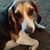 Sherry Wilkie's profile image