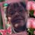 Beth Roberts's profile image