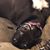 Kellye' Crandall Shaw's profile image
