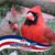 Brenda Holmes Pearson's profile image