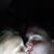 Heather Tomasello's profile image