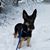 Molly Timko's profile image