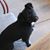 Gidget Wilkins's profile image