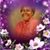 Lillian Jeter's profile image