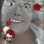Carol Lina's profile image
