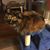 Jeanne Malcolm's profile image