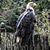Kenneth Ketah Sr's profile image