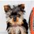 Renee Cope's profile image