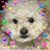Lisa Leppart Mercer's profile image