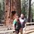 Kim Schacher's profile image