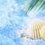 Kelli Kishbaugh's profile image