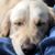 Christopher Brooks's profile image