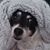 Amy K. Becker's profile image