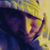 Matty Hoeferlin's profile image