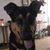 Christine Smith's profile image