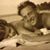 Lee C. Dieter's profile image