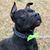 Kimberly Livingston Ponds's profile image