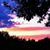 Gary McKee's profile image