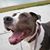 Marco Casas-cordero's profile image