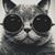 Mary Knerr's profile image