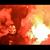 Youssef Amer's profile image