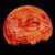 Doug Wilcoxson's profile image