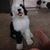 Michelle Mendels Hederich's profile image