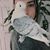 Victoria Zwiener's profile image