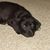 Mary Jo Del Vero's profile image