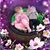Melinda Morgan's profile image