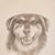 Janet Milbrandt's profile image