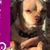 Suzy Ryans's profile image
