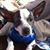 Gail Ireland's profile image
