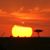 Beth Milne Rolfsen's profile image
