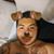 Celso Lara's profile image