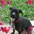 Gerri Boyer's profile image