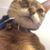 Luree Salisbury Holt's profile image