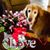 Diane Kirkup Vernal's profile image