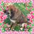 Lynn Fairbairn Cranmer's profile image