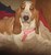 robin g.'s profile image