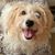 Kaye Raiford Drake's profile image