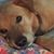Ivey Graham's profile image
