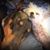 Chris Bevillard's profile image
