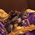 Jo Olson's profile image