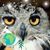 Silvia Selva's profile image