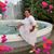 Pamela Abrahams's profile image